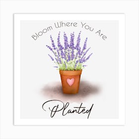 Bloom Where You Are Planted Art Print