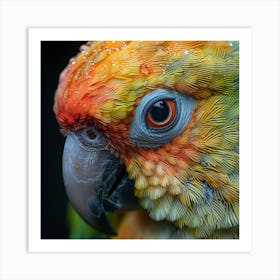 Colorful Parrot 5 Art Print