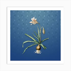 Vintage Amaryllis Broussonetii Botanical on Bahama Blue Pattern n.0056 Art Print