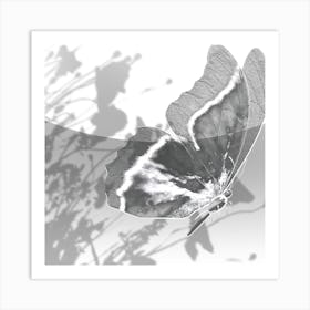 Butterfly Art Print