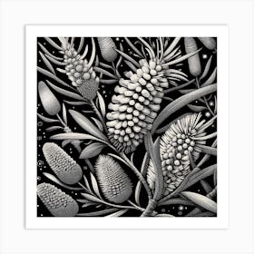 Banksia 2 Art Print