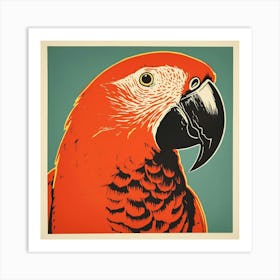 Retro Bird Lithograph Macaw 3 Art Print