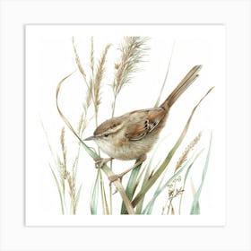 Wren Bird Drawing 1 Art Print