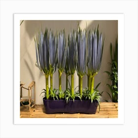 Blue Plants In A Pot Art Print