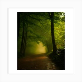 Misty Path Art Print