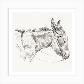 Head Of A Donkey (1821), Jean Bernard Art Print