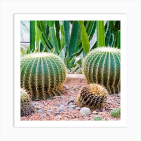 Cactus Garden Art Print