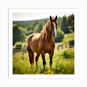 Horse In A Field 12 Art Print