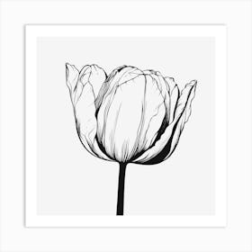 Tulip 1 Art Print