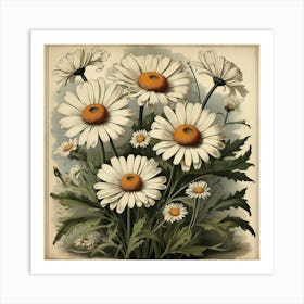 Oxeye Daisy Floral Botanical Vintage Poster Flower Art print Art Print