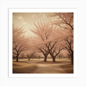 Cherry Blossoms 22 Art Print