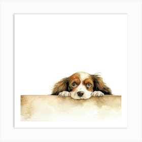 Spaniel Sussex Art Print