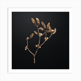 Gold Botanical Viscum Album Branch on Wrought Iron Black n.3309 Art Print