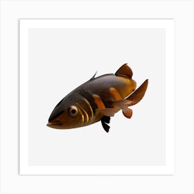 Black And Brown Fish Art Print