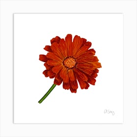 Orange Gerbera Art Print