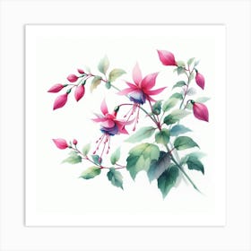 Flowers of Fuchsia 3 Art Print