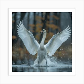 Swan In Flight 1 Art Print