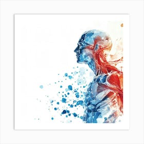 Human Anatomy Illustration Art Print