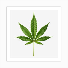 Marijuana Leaf Isolated On Black Background 1 Art Print