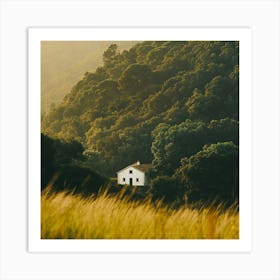 House In The Forest Art Print