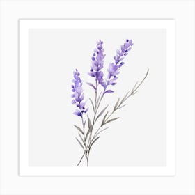 Lavender Flowers On A Black Background Art Print