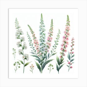 Flowers of Mignonette 3 Art Print