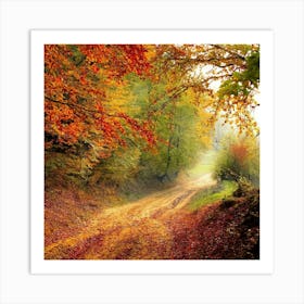 Autumn Road In The Forest Photo Art Print