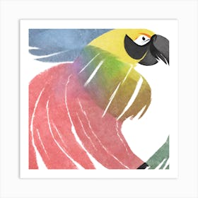 Parrot Art Print