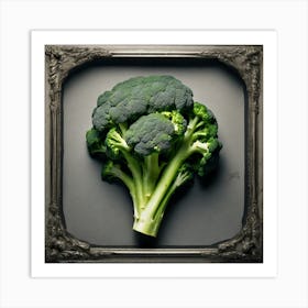 Broccoli In A Frame 8 Art Print