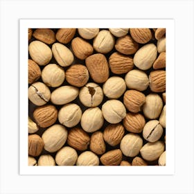 Nuts And Hazelnuts 1 Art Print