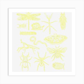 Minibeasts Insects And Invertebrates Drawings Art Print