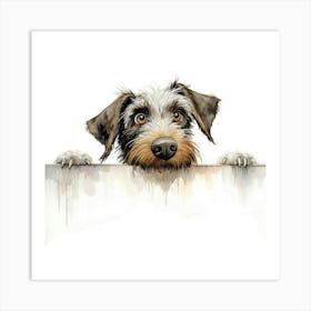 Schnauzer 27 Art Print