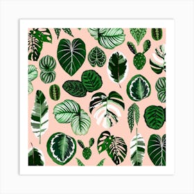 Houseplant Leaves Pattern Square Art Print