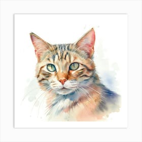 Sokoke Cat Portrait 3 Art Print