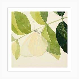 Butterfly On A Leaf 1 Art Print