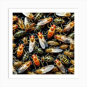 Flies On Black Background Art Print