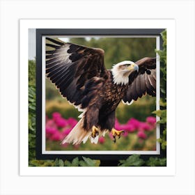 Bald Eagle Art Print