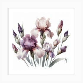 Mauve Flowers of Irise 1 Art Print