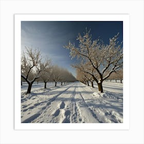 Orchard In The Snow Art Print