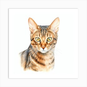 Toyger Cat Portrait Art Print