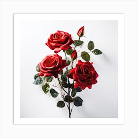 Red Roses On White Background Art Print