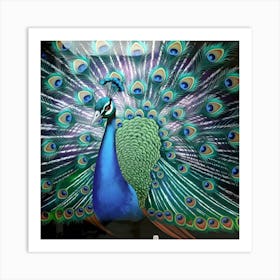 Peacock Art Print