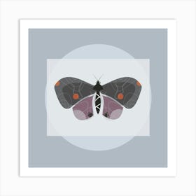 Butterfly Art Print