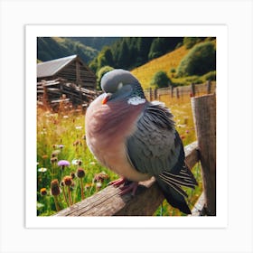 Pigeon In The Farm Art Print