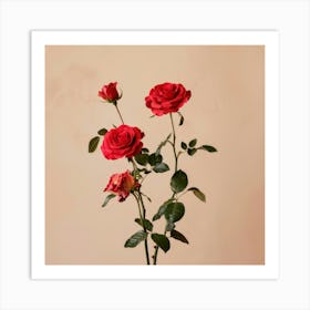 Roses 1 Art Print