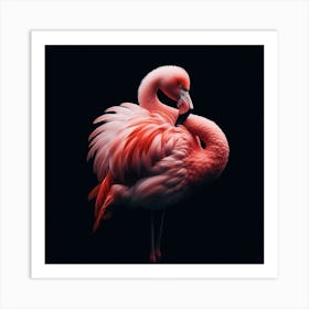 A flamingo 1 Art Print