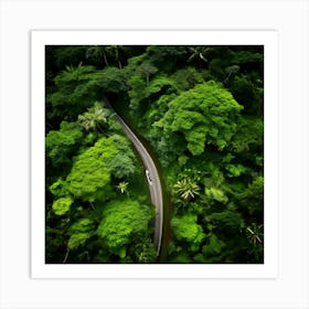 Aerial View Of A Forest Road Art Print