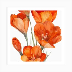 Crocus Watercolor Painting Art Print