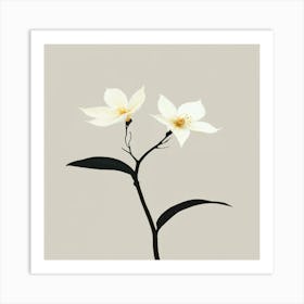 Two White Flowers Art Print