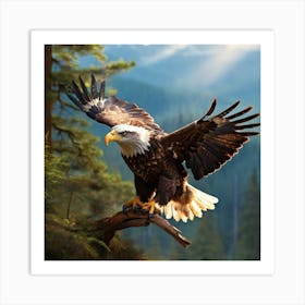 Bald Eagle Art Print